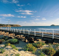 Victor Harbor and Southern Highlights from Adelaide Including Lunch - Tourism Caloundra