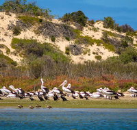 Murray Mouth Cruise - Tourism Caloundra