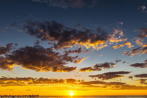 Adelaide Ocean Safari - Twilight Safari - Tourism Caloundra 1