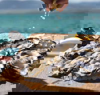 Experience Coffin Bay Short and Sweet Oyster Farm Tour - Tourism Caloundra