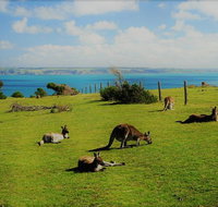 Fleurieu Explorer - Full-Day Tour - Tourism Caloundra