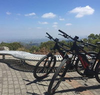 Mt Lofty Wine Wheels  Wildlife - Tourism Caloundra