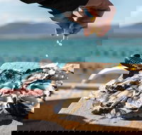 Experience Coffin Bay Oyster Farm and Bay Tour - Tourism Caloundra