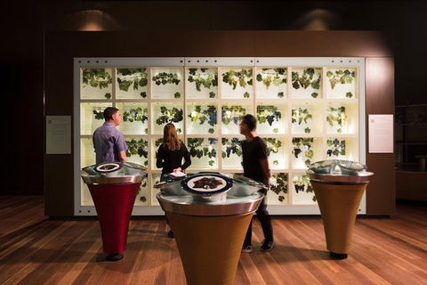 Australian Wine Discovery Tour Ticket - Tourism Caloundra 5