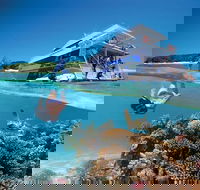 3-Day Southern Great Barrier Reef Tour Including Lady Musgrave Island - Tourism Caloundra
