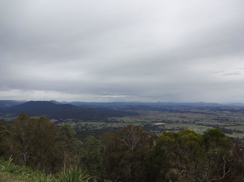 Springbrook AndTamborine Rainforest Tour Incl Natural Bridge And Glow Worm Cave - Tourism Caloundra 7
