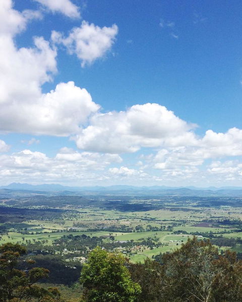 Springbrook AndTamborine Rainforest Tour Incl Natural Bridge And Glow Worm Cave - Tourism Caloundra 5