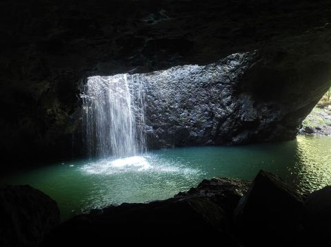 Springbrook AndTamborine Rainforest Tour Incl Natural Bridge And Glow Worm Cave - Tourism Caloundra 2