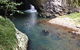 Springbrook AndTamborine Rainforest Tour Incl Natural Bridge And Glow Worm Cave - thumb 6