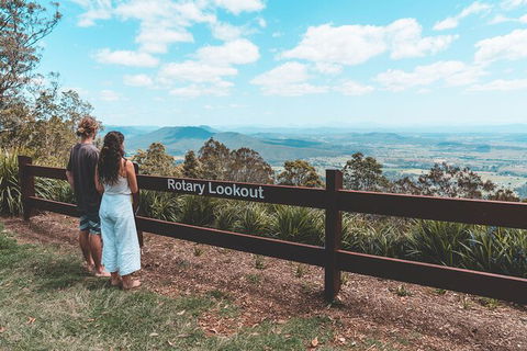 Springbrook AndTamborine Rainforest Tour Incl Natural Bridge And Glow Worm Cave - Tourism Caloundra 13