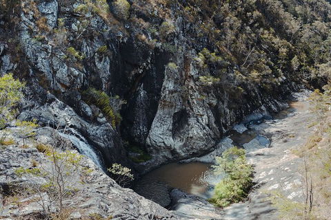 Springbrook AndTamborine Rainforest Tour Incl Natural Bridge And Glow Worm Cave - Tourism Caloundra 15