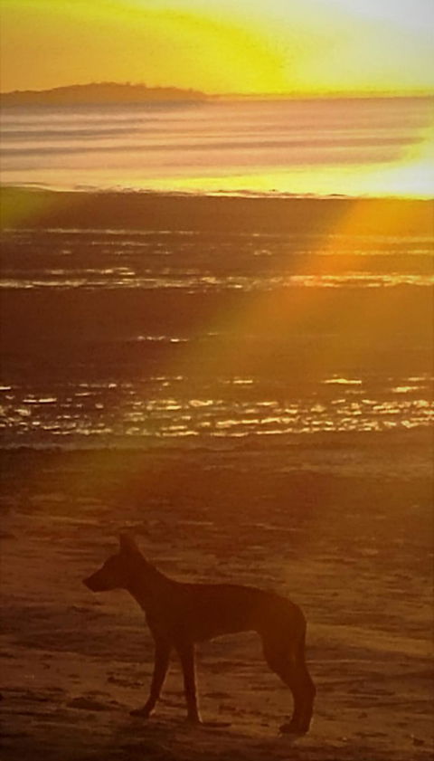 3-Day Fraser Island Resort Package - Tourism Caloundra 3