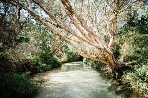 3-Day Fraser Island Resort Package - Tourism Caloundra 11