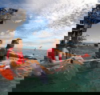 Moreton Island Day Trip Kayak Snorkel  Sandboard frm Brisbane or Gold Coast - Tourism Caloundra