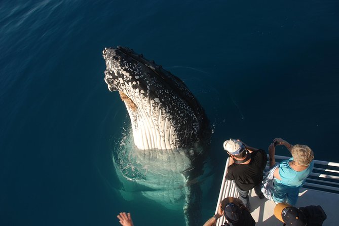 Tourism Caloundra