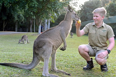Small-Group Australia Zoo Day Trip From Brisbane - Tourism Caloundra 6
