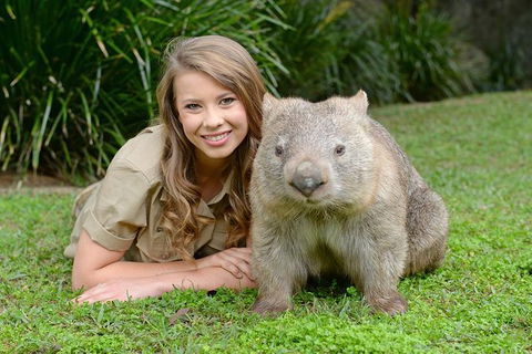 Small-Group Australia Zoo Day Trip From Brisbane - Tourism Caloundra 5