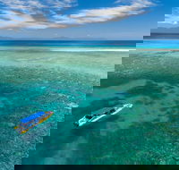 Ocean Safari Great Barrier Reef Experience in Cape Tribulation - Tourism Caloundra