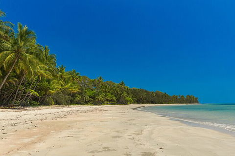 Ocean Safari Great Barrier Reef Experience In Cape Tribulation - Tourism Caloundra 3
