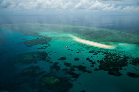 Ocean Safari Great Barrier Reef Experience In Cape Tribulation - Tourism Caloundra 16