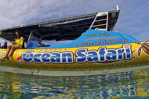 Ocean Safari Great Barrier Reef Experience In Cape Tribulation - Tourism Caloundra 8