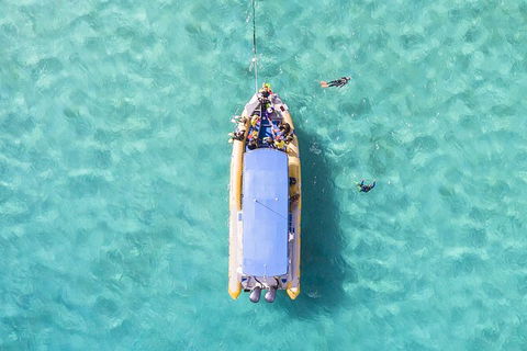 Ocean Safari Great Barrier Reef Experience In Cape Tribulation - Tourism Caloundra 17