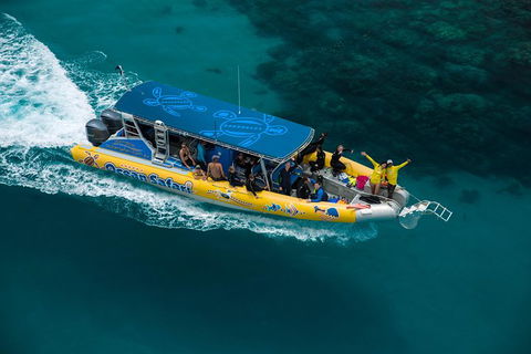 Ocean Safari Great Barrier Reef Experience In Cape Tribulation - Tourism Caloundra 9