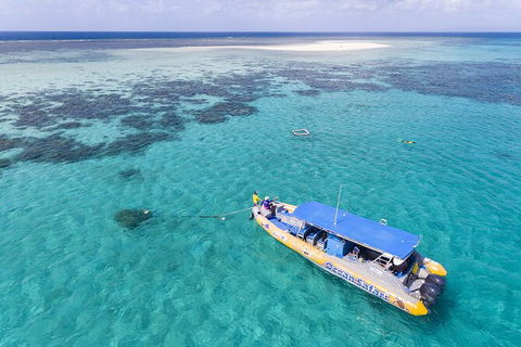 Ocean Safari Great Barrier Reef Experience In Cape Tribulation - Tourism Caloundra 11