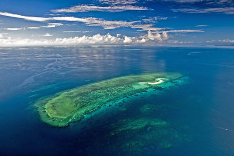 Ocean Safari Great Barrier Reef Experience In Cape Tribulation - Tourism Caloundra 15