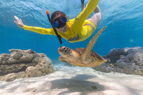 Ocean Safari Great Barrier Reef Experience In Cape Tribulation - Tourism Caloundra 2