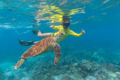 Ocean Safari Great Barrier Reef Experience In Cape Tribulation - Tourism Caloundra 14