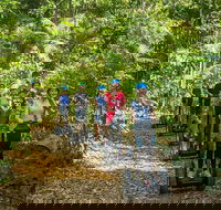 Whitsunday Segway Rainforest Discovery Tour - Tourism Caloundra