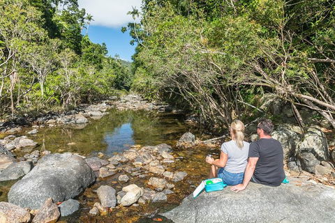 Whitsunday Segway Rainforest Discovery Tour - Tourism Caloundra 4