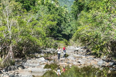 Whitsunday Segway Rainforest Discovery Tour - Tourism Caloundra 10