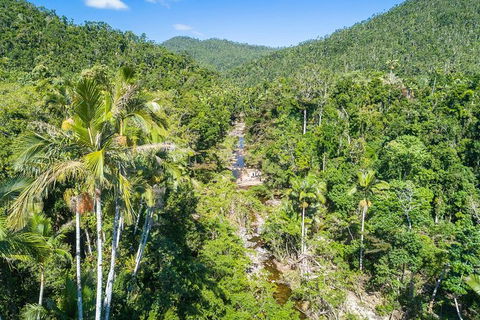 Whitsunday Segway Rainforest Discovery Tour - Tourism Caloundra 5