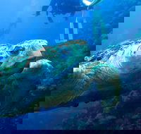 Scuba Dive the S.S. Yongala Wreck on the Great Barrier Reef. - Tourism Caloundra