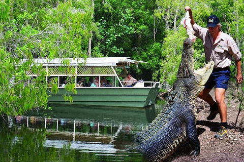 Crocs, Creatures And Culture Tour Ex Cairns - Tourism Caloundra 1