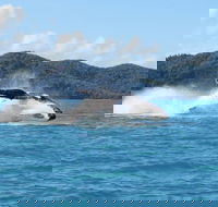 Whitsundays Whale Watching Cruise from Airlie Beach - Tourism Caloundra