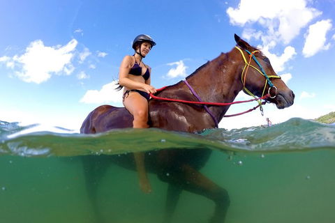 Horse Swimming Ride From Rainbow Beach - Tourism Caloundra 1