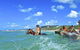 Horse Swimming Ride From Rainbow Beach - thumb 0