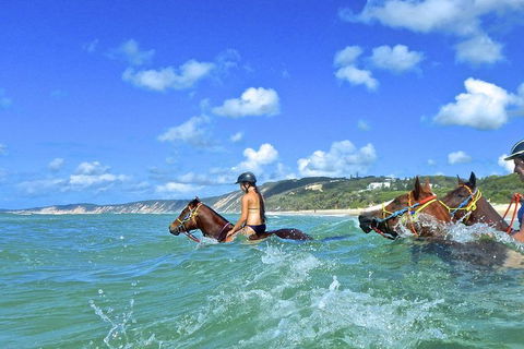 Horse Swimming Ride From Rainbow Beach - Tourism Caloundra 0