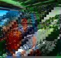 Skyrail Rainforest Cableway Day Trip from Palm Cove - Tourism Caloundra