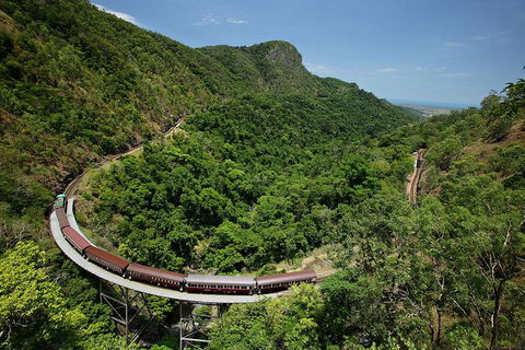 Skyrail Rainforest Cableway Day Trip From Palm Cove - Tourism Caloundra 5