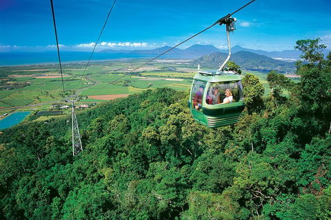 Skyrail Rainforest Cableway Day Trip From Palm Cove - Tourism Caloundra 3