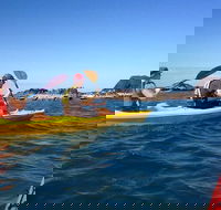 Port Douglas Half-Day Kayak Tour - Tourism Caloundra