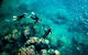 2-Night Whitsundays Sailing Adventure: Whitsunday Getaway - thumb 12