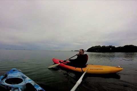 Brisbane Guided Kayaking Tour On Tingalpa Creek - Tourism Caloundra 5