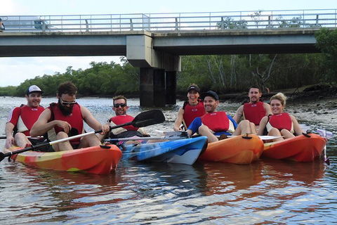Brisbane Guided Kayaking Tour On Tingalpa Creek - Tourism Caloundra 3