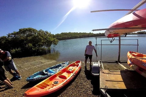 Brisbane Guided Kayaking Tour On Tingalpa Creek - Tourism Caloundra 6