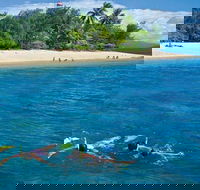 Wavedancer Low Isles Great Barrier Reef Sailing Cruise from Port Douglas - Tourism Caloundra